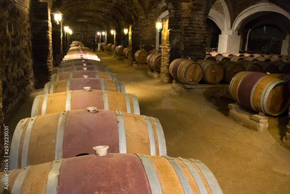 Red Wine Kegs in The Cellar of a Chilean Winery 