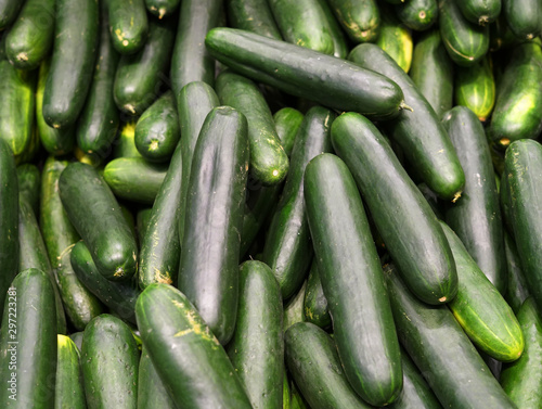 fresh cucumber as food background