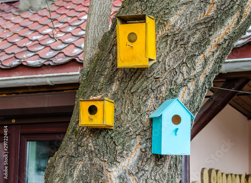 Birdhouses for birds on a large tree.