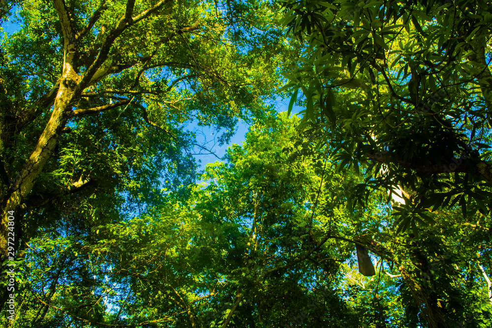 paisaje paisaje