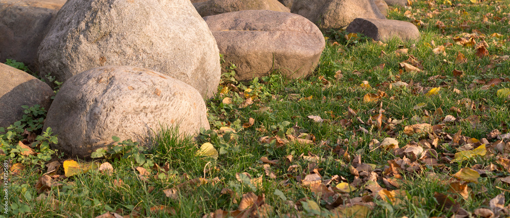 Obraz premium large stones and boulders with fallen leaves around in city part during autumn. nature, seasonal