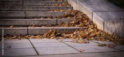 yellow autumn leaves on stone stairs of city park. vignette, background, seasonal.