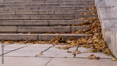 yellow autumn leaves on stone stairs of city park. background, seasonal.