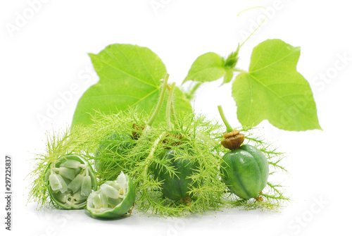 Slika na platnu Fetid passionflower fruits isolated on white background