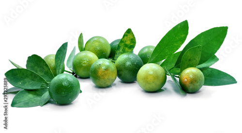 Group of kumquat fruit isolated on white background © ruzz