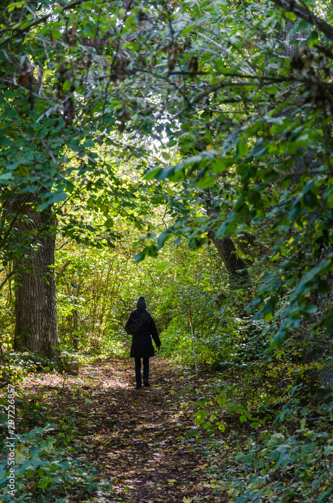 Woman walking on a footpath with fall colored leaves Woman walking on a footpath with fall colored leaves