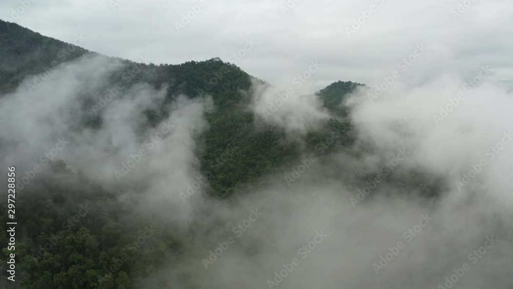 Aerial Flight Above Fluffy Clouds over Lush Rainforest. Drone Above Beautiful Jungle. Aerial Flight Above Fluffy Clouds over Lush Rainforest. Drone Above Beautiful Jungle.