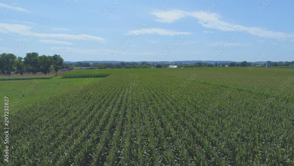 An Aerial Close Up View of Amish Farmlands and Countryside with Corn Fields on a Sunny Summer Day An Aerial Close Up View of Amish Farmlands and Countryside with Corn Fields on a Sunny Summer Day