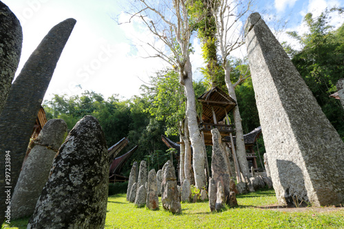 Upper Class Cemetery: Bori’ Parinding Megalith Burial Site, Toraja, Sulawesi, Indonesia photo