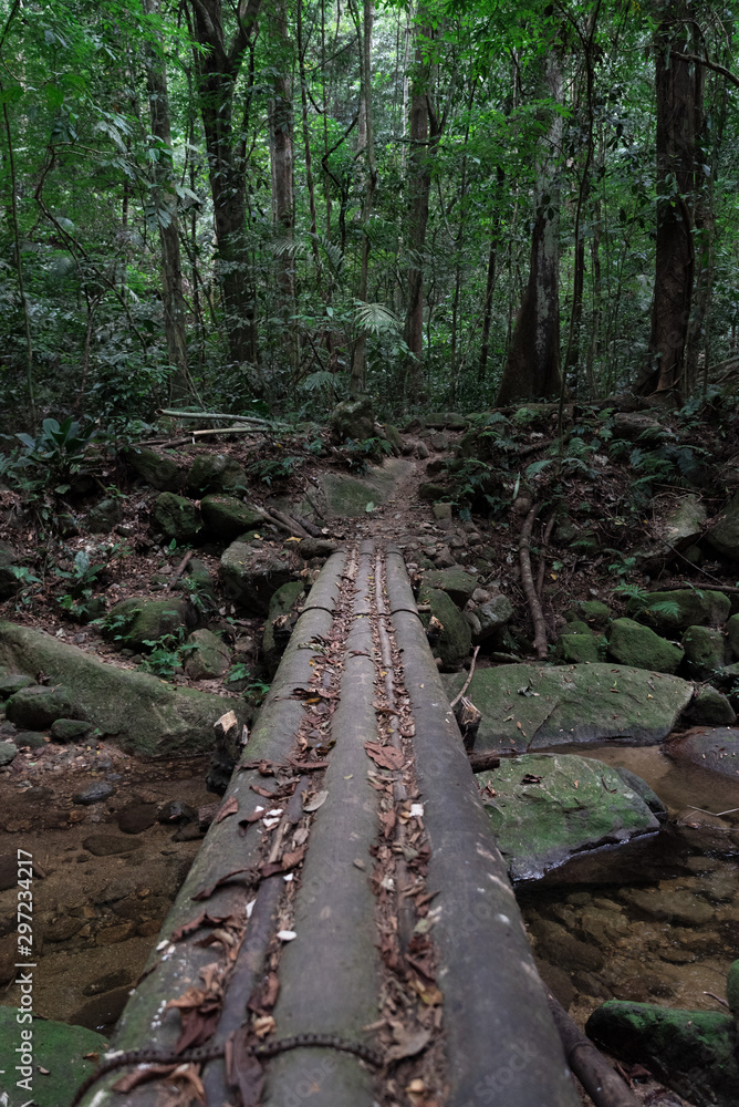 Wooden bridge in the forest Wooden bridge in the forest