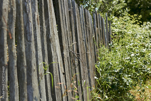 The old wooden fence was overgrown with grass. Village life.