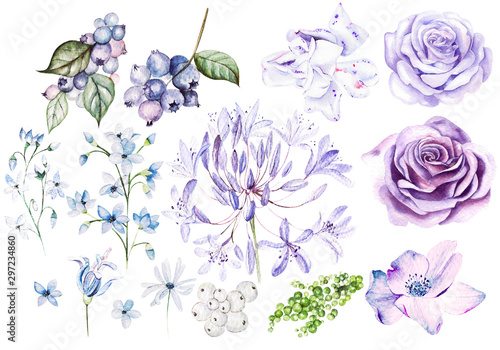 Watercolor Set with violet ...