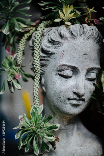 The image of the face in the face of the person who brought it as a flower pot