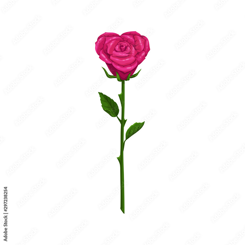 Heart shape rose isolated flower Heart shape rose isolated flower