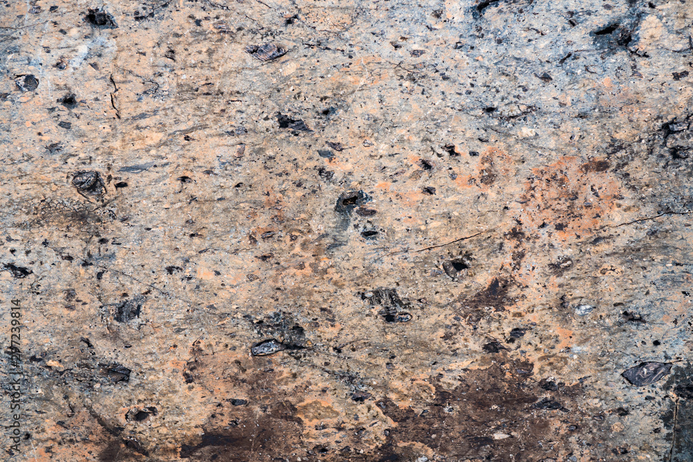 The texture of the stone overgrown with moss. Background image of a boulder The texture of the stone overgrown with moss. Background image of a boulder