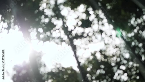 Sunbeams