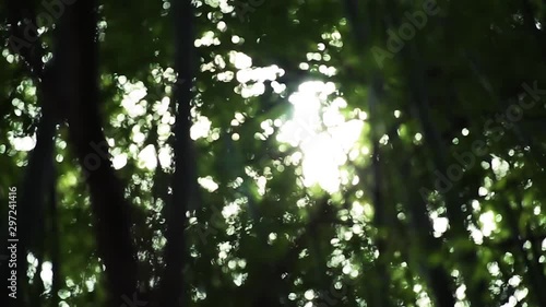Sunbeams