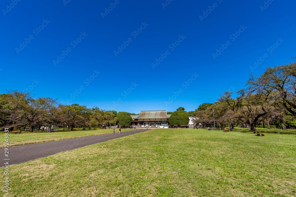 東京武蔵野 小金井公園の風景