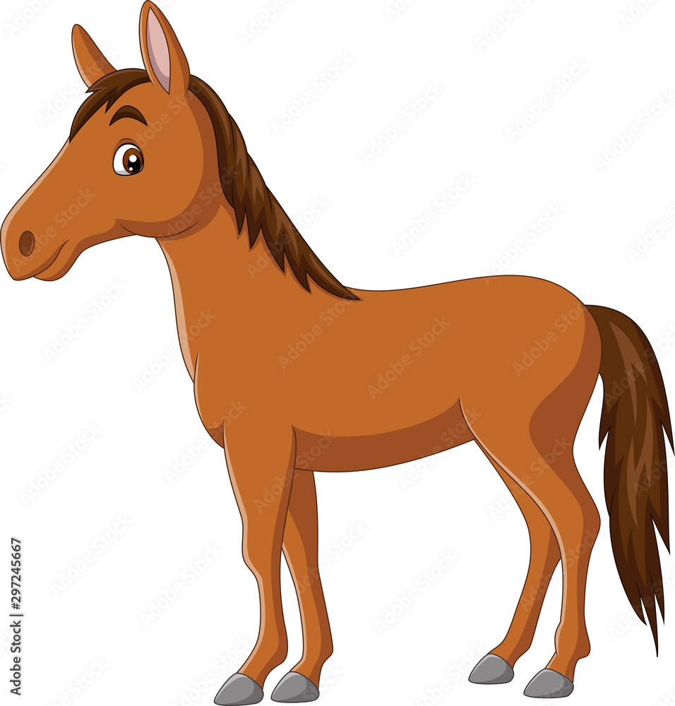 Cartoon happy horse on white background Cartoon happy horse on white background