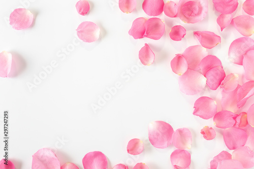 Top view of pink rose petals on white background.Valentine's day concept.