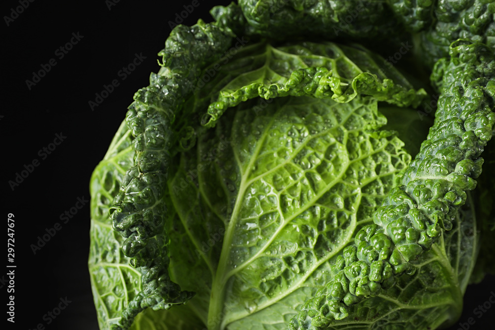 Fototapeta premium Fresh green savoy cabbage on black background, closeup