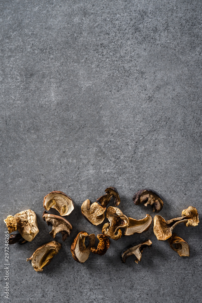 Various dried mushrooms on a gray concrete surface. Top view. Various dried mushrooms on a gray concrete surface. Top view.
