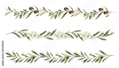 Canvastavla Watercolor vector set of borders of olive branches and flowers.