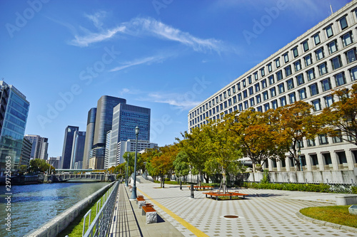 大阪 中之島公園 大阪市役所と高層ビル群 photo