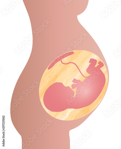 a fetus in mother's body with heart brighting  心臓が光っている母体の中の胎児 2