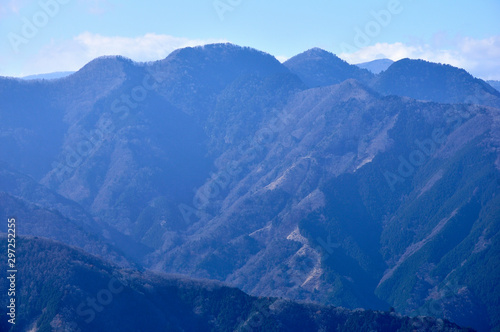 奥武蔵 大持山より奥多摩の眺め © Green Cap 55