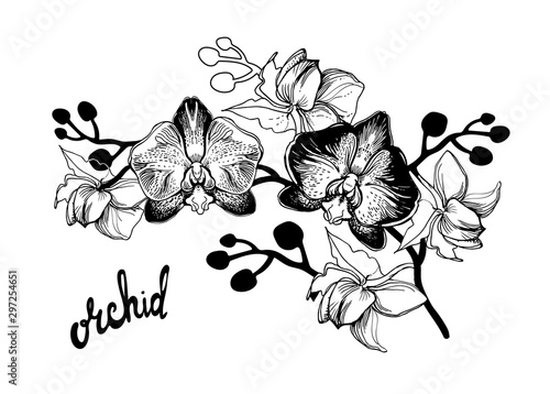 Black and white hand drawn sketch with spotty orchids flowers on white background and brush pen lettering calligraphy phrase. Can be used for printing on wrapping paper, greeting card, postcard.
