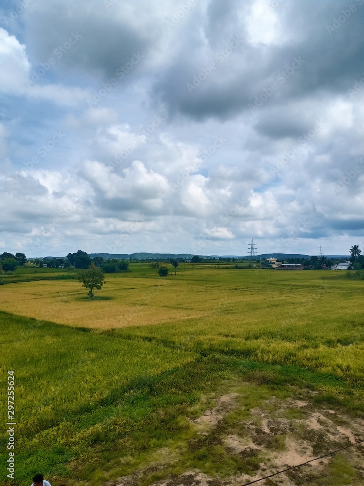 Fototapeta krajobraz z zielonym polem i błękitnym niebem