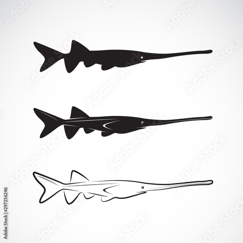Vector of american paddlefish (Polyodon spathula) on white background. Animal. Undersea animals. Easy editable layered vector illustration.