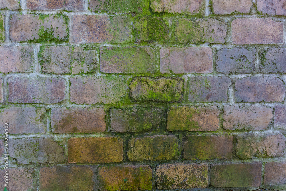 Outdoor dripping brick wall and green moss material Outdoor dripping brick wall and green moss material