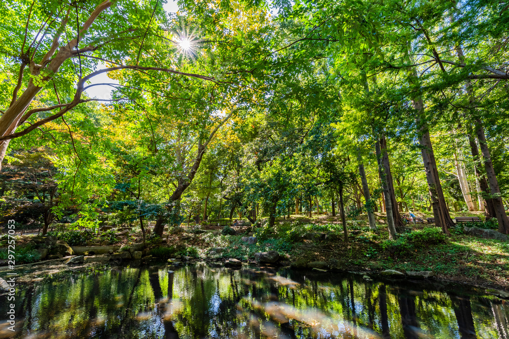 林試の森公園の風景