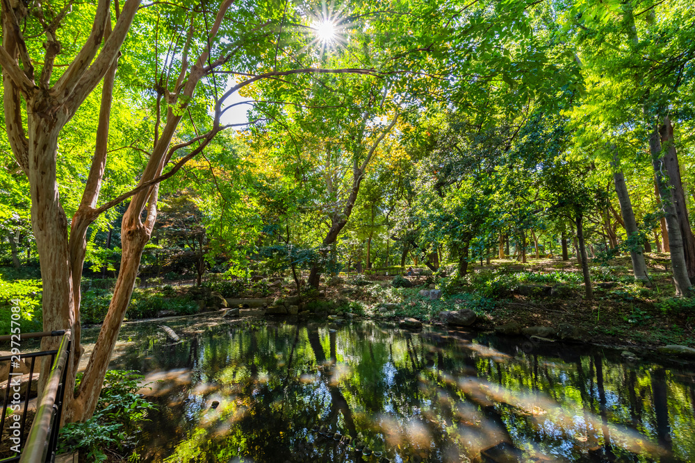 林試の森公園の風景