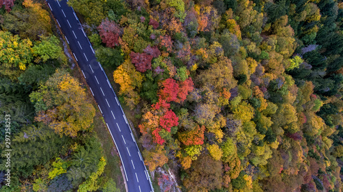 Drone aerial view of an mountain road winding through an Alpine aerial misty forest in the Swiss french Jura mountains. The forest canopy is a variety of fall colors. © neil