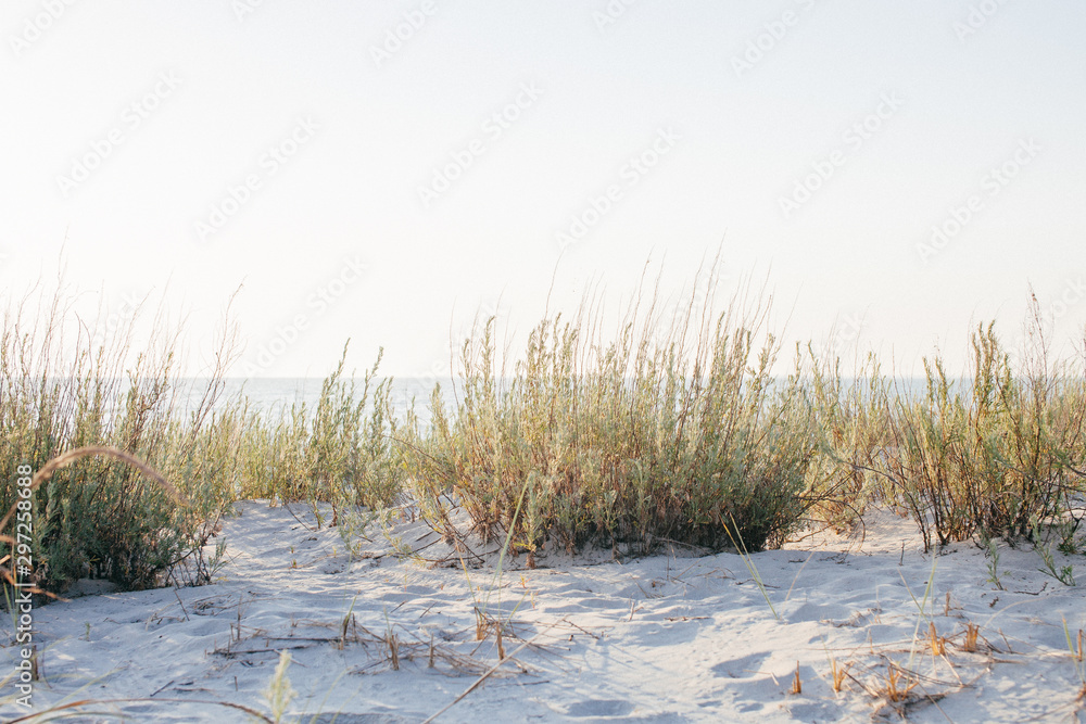Natural sea beach on sunrise. Natural sea beach on sunrise.