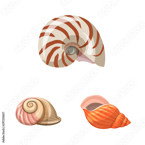 Vector illustration of seashell and mollusk sign. Set of seashell and seafood stock symbol for web.