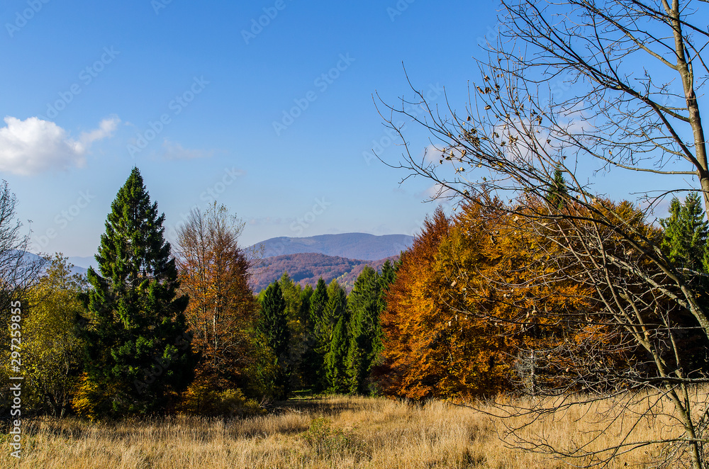 kolory jesieni bieszczady kolory jesieni bieszczady