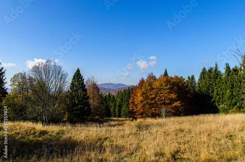 Fototapeta Naklejka Na Ścianę i Meble -  bieszczadzkie panoramy
