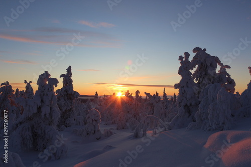 winter wonderland Lapland