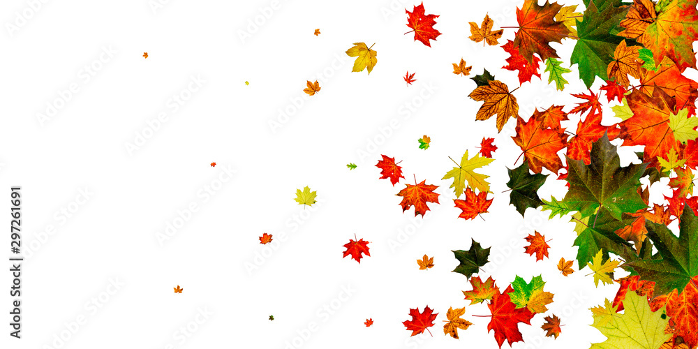 Autumn background. Falling October leaves isolated on white. Season concept Autumn background. Falling October leaves isolated on white. Season concept