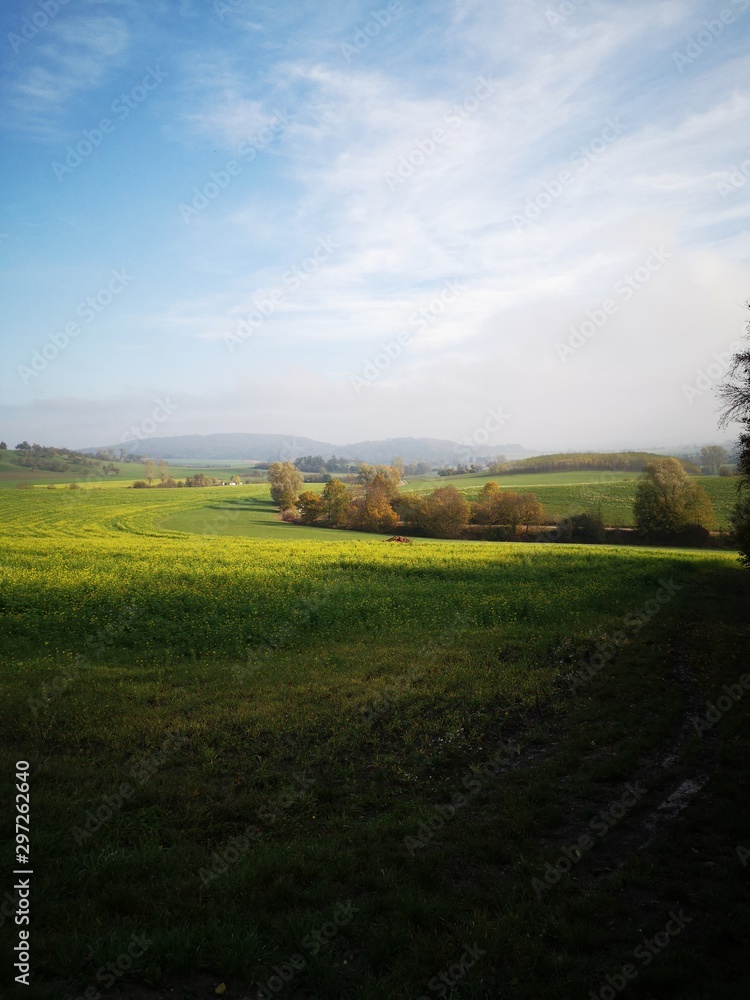 Obraz premium sunset over green field