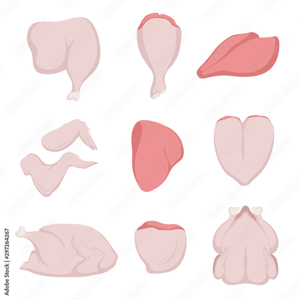 Scheme cutting chicken. Poster in retro style. Chicken pieces. Isolated on white background. Scheme cutting chicken. Poster in retro style. Chicken pieces. Isolated on white background.