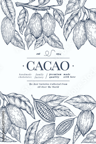 Cocoa banner template. Chocolate cocoa beans background. Vector hand drawn illustration. Vintage style illustration.