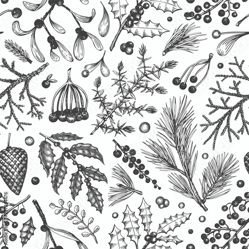 Christmas seamless pattern. Hand drawn vector winter plants background. Coniferous, holly, mistletoe design template. Vintage style illustrations