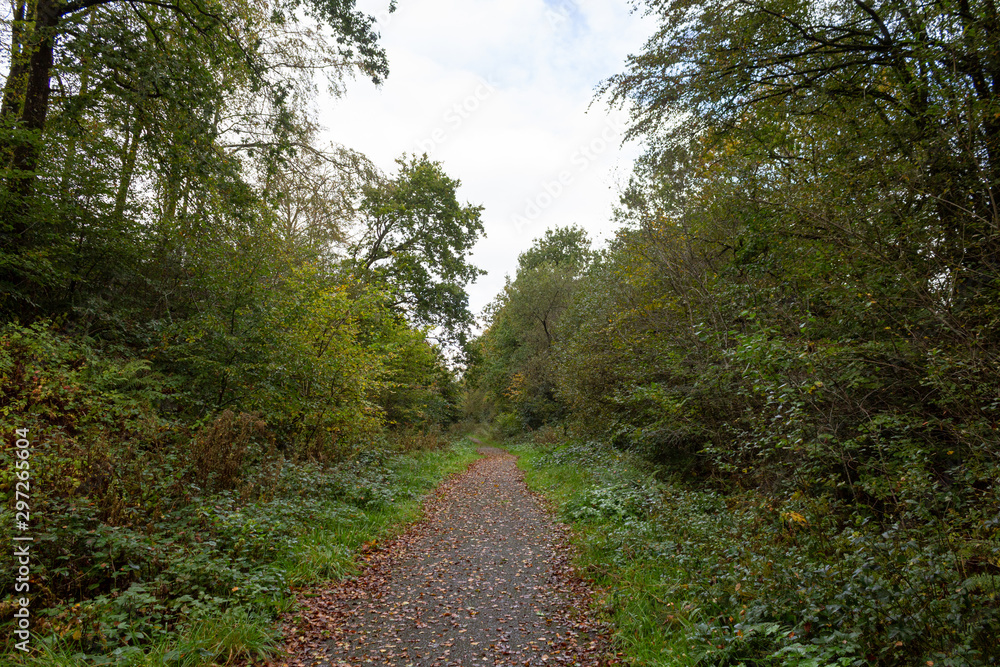 Disused Railway near Halwill Junction, Devon