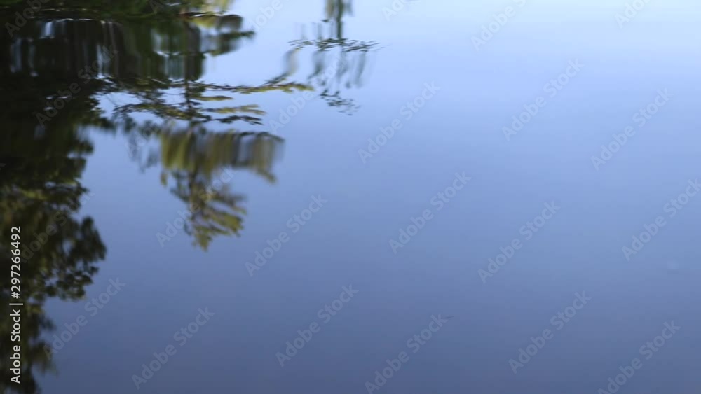 Slow motion ripples and waves from a lake with tree reflection, shot on tripod. Slow motion ripples and waves from a lake with tree reflection, shot on tripod.
