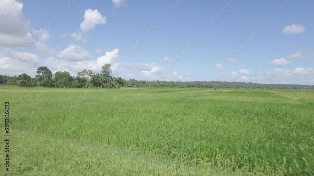 Drone Video Zanzibar Nature Paradise 80